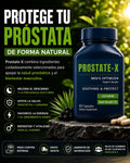 PROSTATE-X | 60 Cápsulas